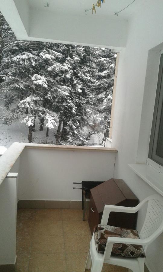 Apartament Nemira Slănic-Moldova Exteriör bild